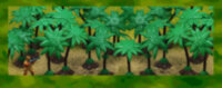 Набор Пальм (зеленые)